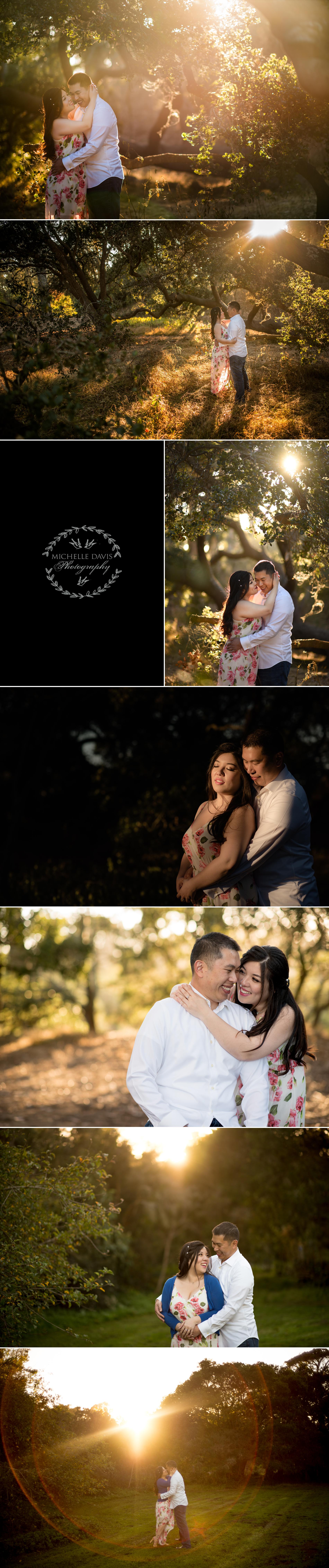 Engagement Photos Michelle Davis Photographers